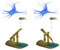 Article by BCF/RIKEN members published in PLoS Computational Biology