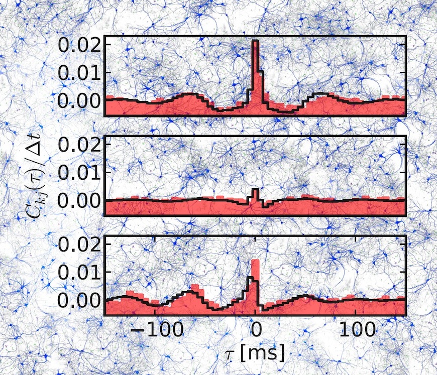 Why do neurons act in unison? : Putting a well-established idea to new use, scientists can match connection patterns to activity dynamics in networks of neurons. 