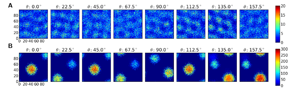 Heterogeneous networks underlie functional heterogeneity 