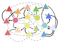 Fire together, wire together – Recurrent dynamics and synaptic plasticity work in tandem to fine-tune connectivity in cortical networks