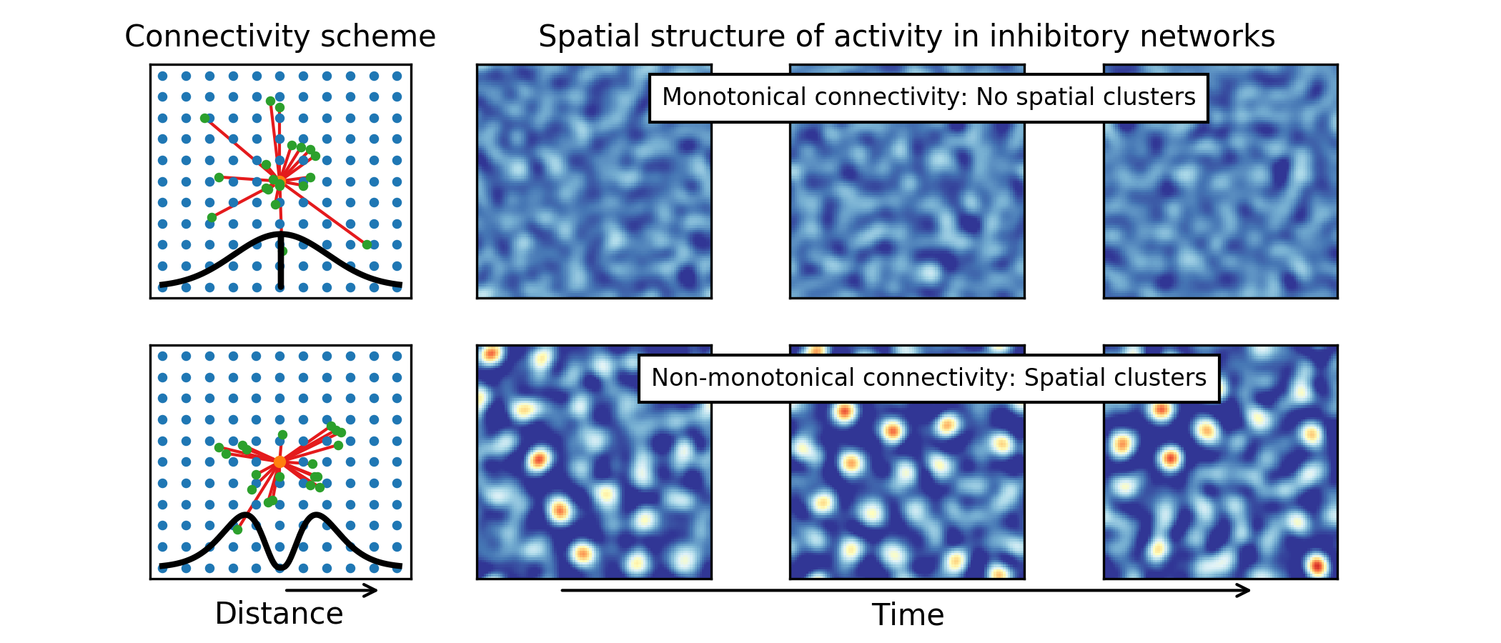 When in Striatum, Avoid Thy Neighbour