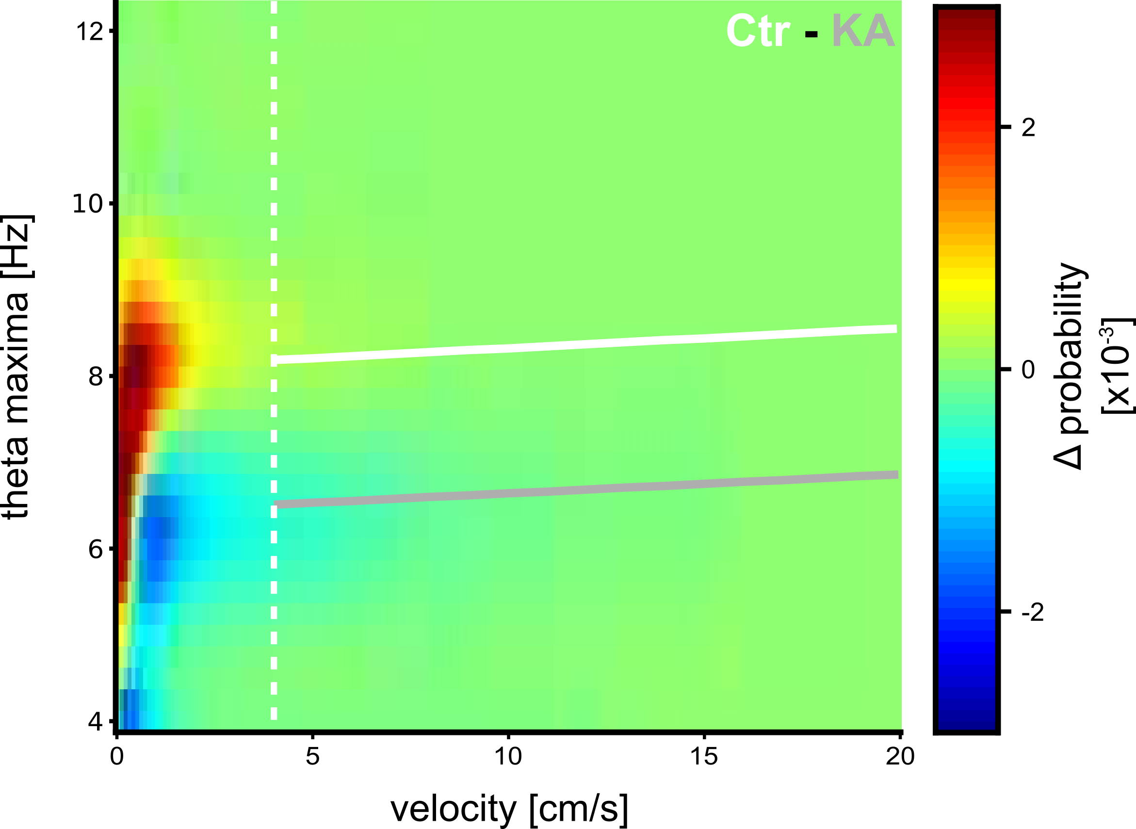 Mesial temporal lobe epilepsy: Large-scale changes of network oscillations?