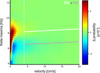 Mesial temporal lobe epilepsy: Large-scale changes of network oscillations?