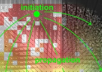 Inhomogeneities in network structure govern spontaneous activity